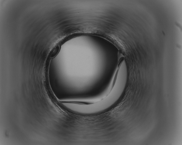 X0000091720536200709211003