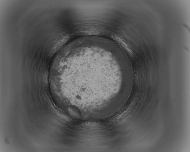 X0000091720537200709211003