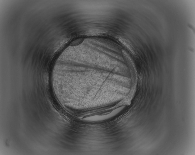 X0000091720539200709211003