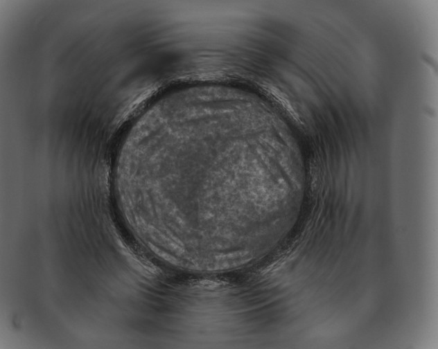 X0000091720542200709211003