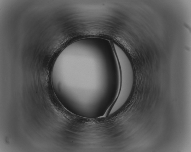 X0000091720544200709211003