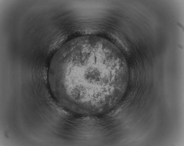 X0000091720545200709211003