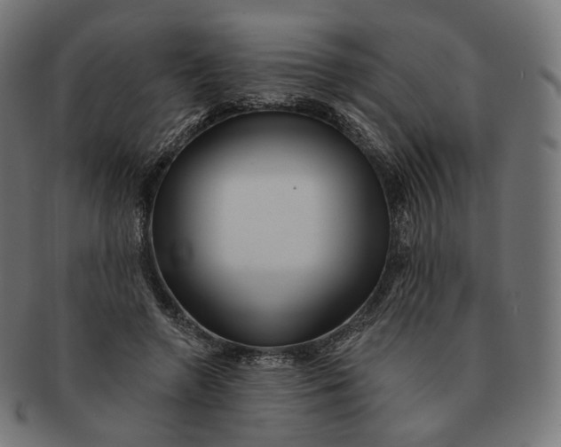 X0000091720546200709211003