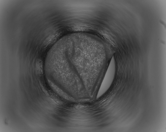 X0000091720547200709211003