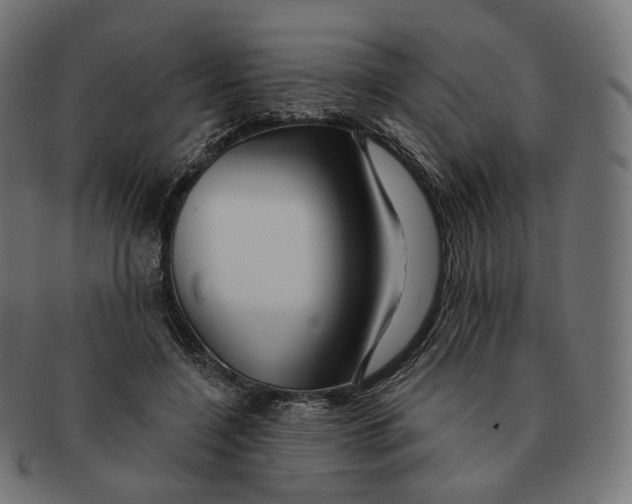 X0000091720548200709211003