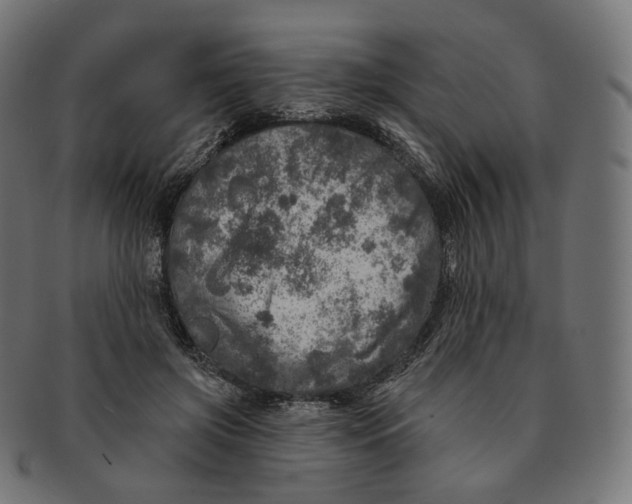 X0000091720549200709211003