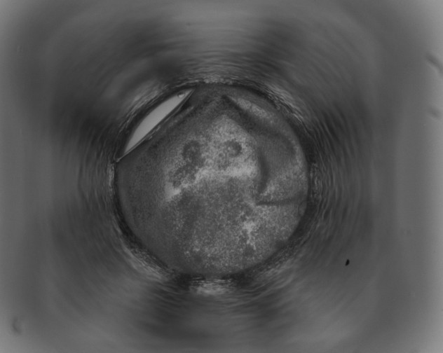 X0000091720550200709211003