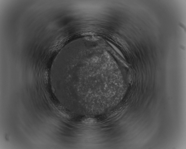 X0000091720551200709211003