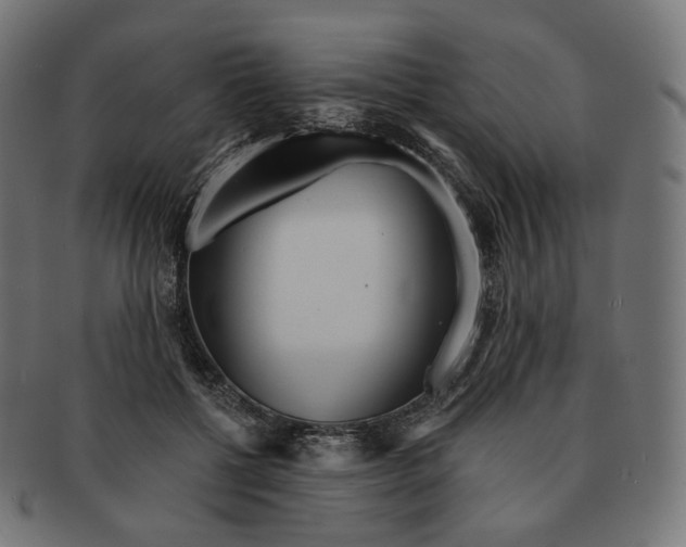 X0000091720552200709211003