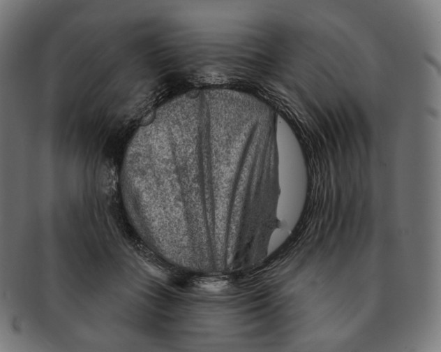 X0000091720555200709211003