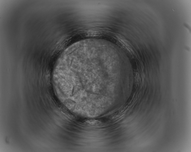 X0000091720557200709211003