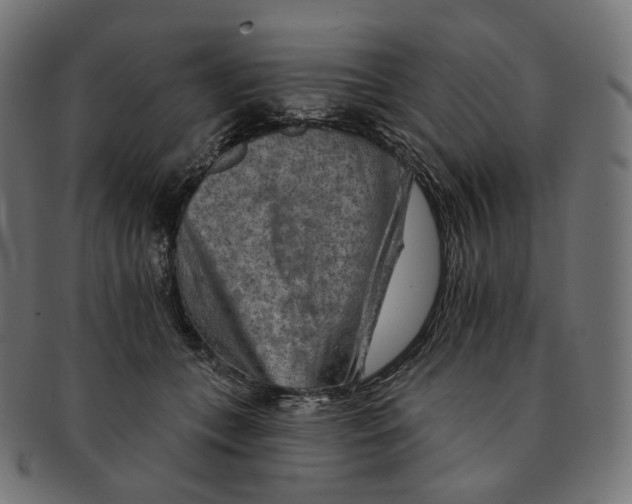 X0000091720559200709211003