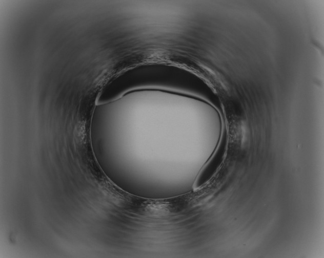 X0000091720560200709211003