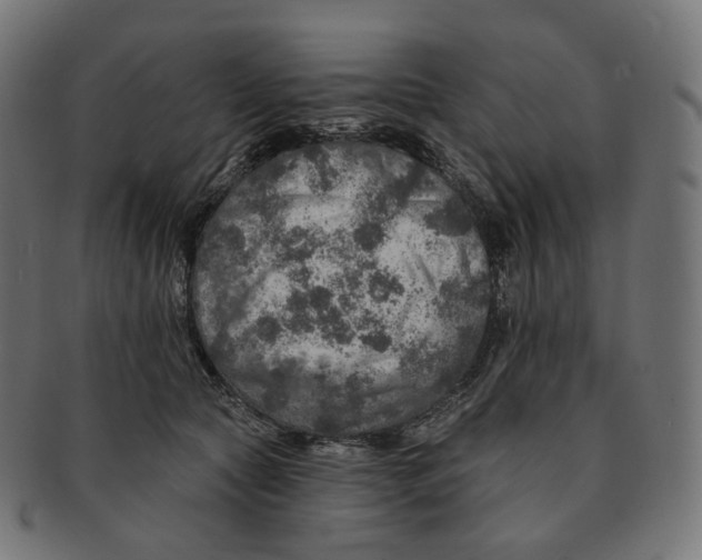 X0000091720561200709211003