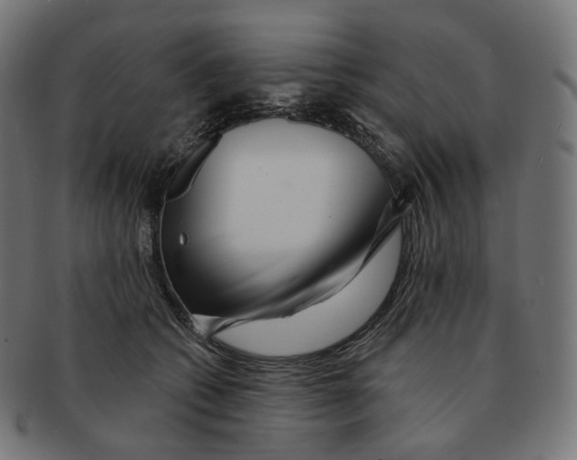 X0000091720562200709211003