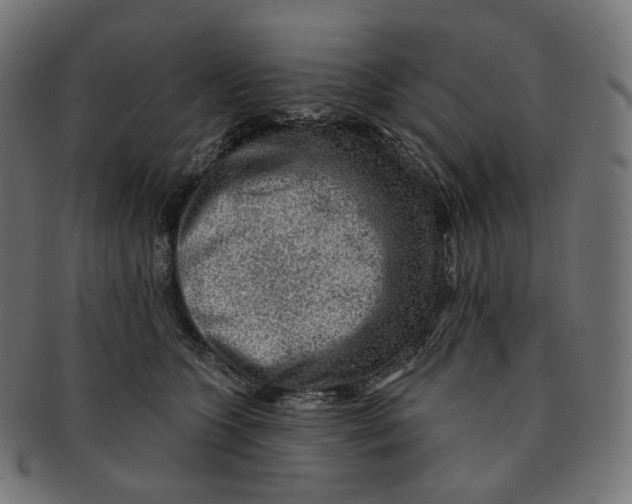 X0000091720563200709211003