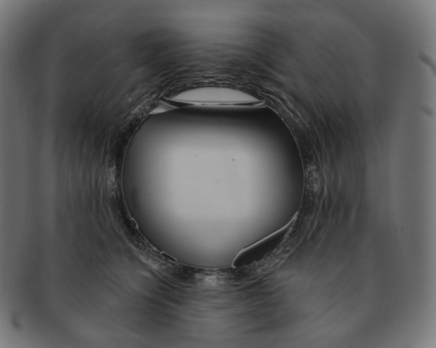 X0000091720564200709211003