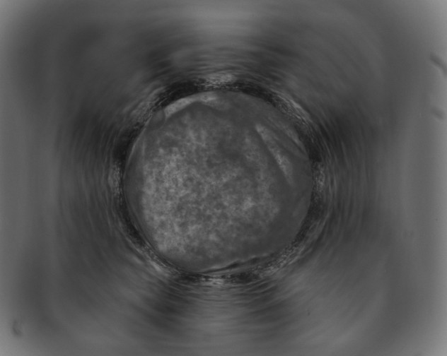 X0000091720565200709211003