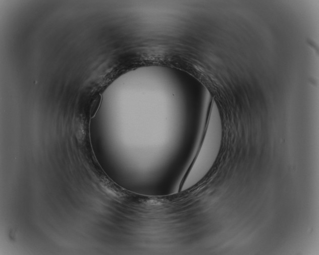 X0000091720566200709211003