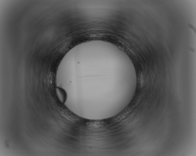 X0000091720567200709211003