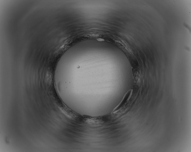 X0000091720568200709211003