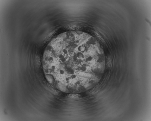 X0000091720569200709211003