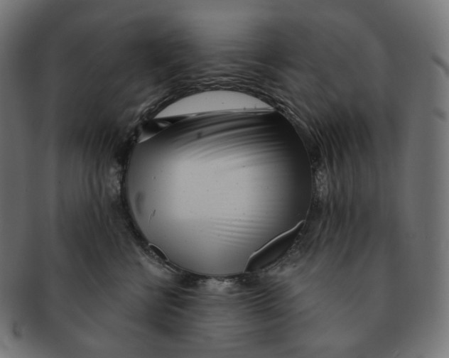 X0000091720570200709211003