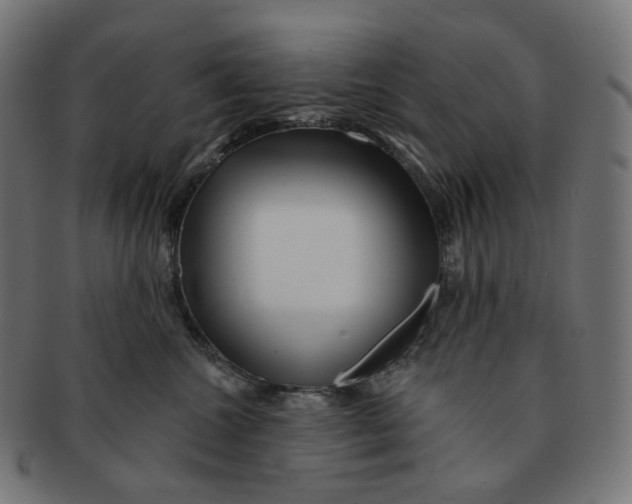 X0000091720572200709211003