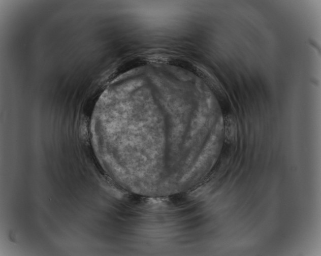 X0000091720573200709211003