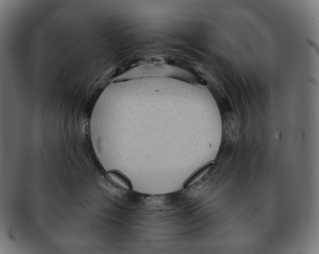 X0000091720574200709211003