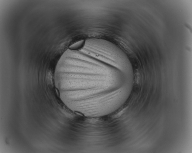 X0000091720575200709211003