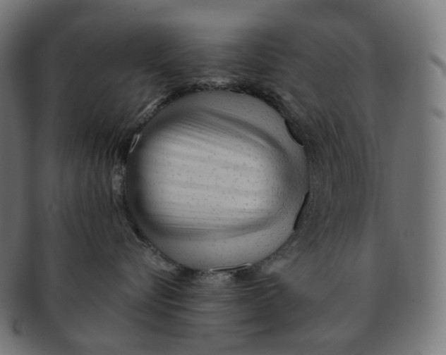 X0000091720576200709211003