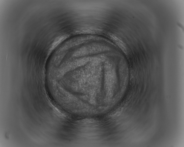 X0000091720578200709211003