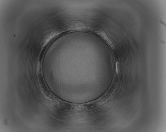 X0000091720579200709211003