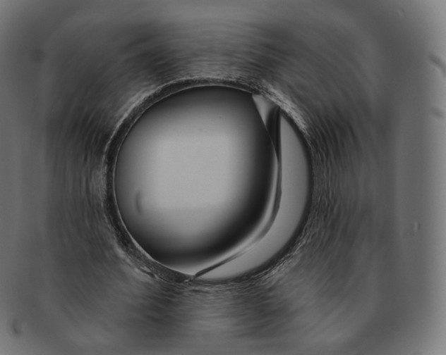 X0000091720580200709211003