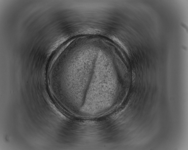 X0000091720581200709211003