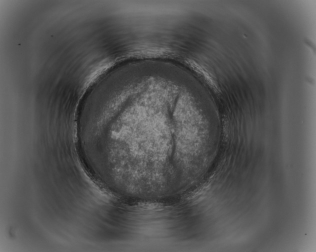 X0000091720582200709211003