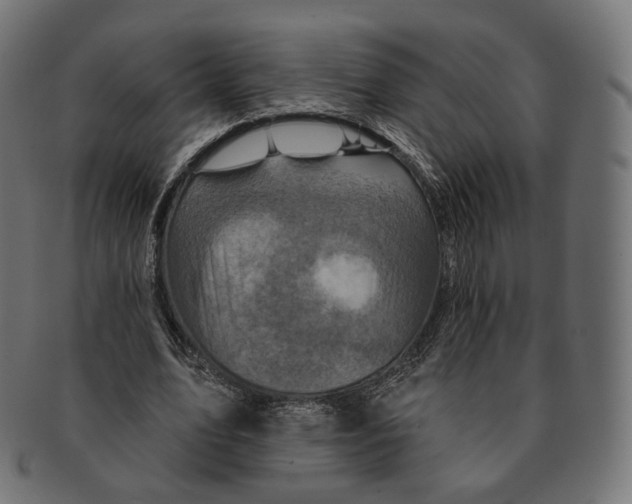 X0000091720583200709211002