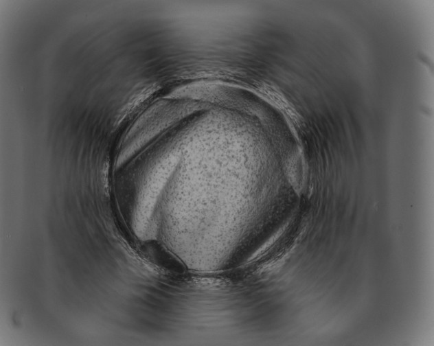 X0000091720585200709211002