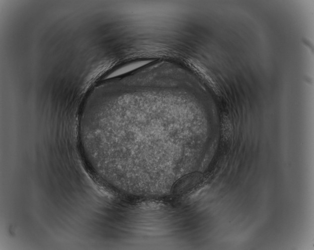 X0000091720586200709211002