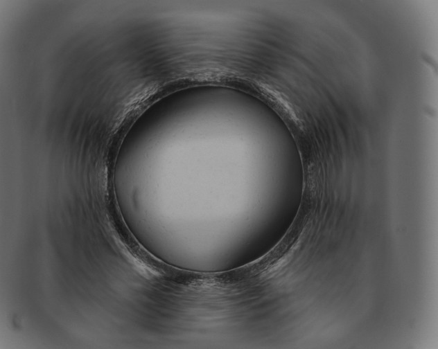 X0000091720589200709211002