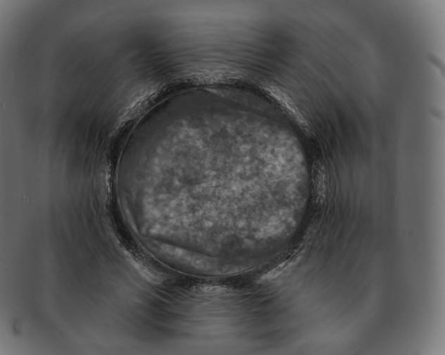 X0000091720590200709211002