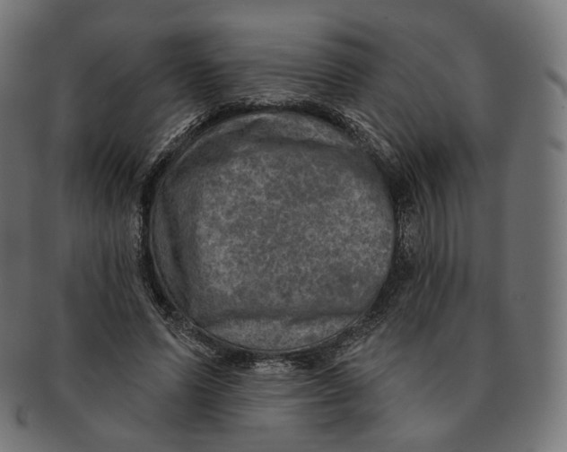 X0000091720591200709211002