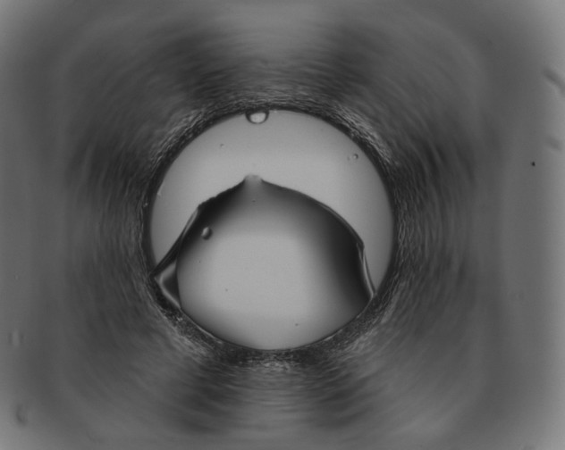 X0000091720593200709211002