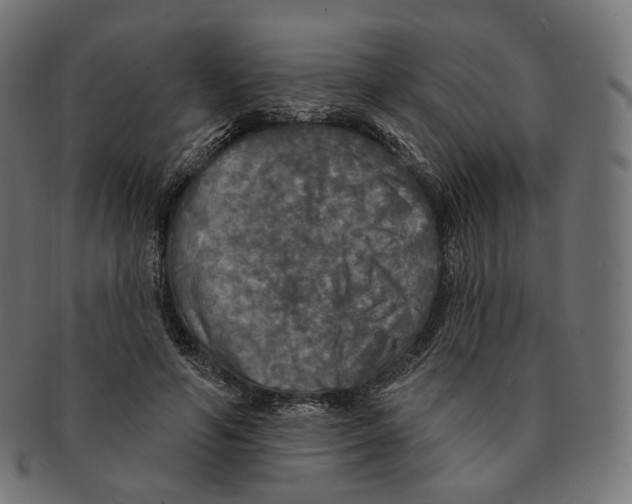 X0000091720594200709211002