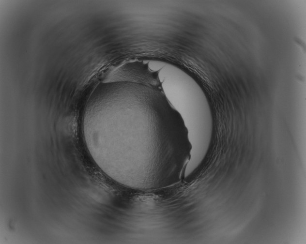 X0000091720595200709211002