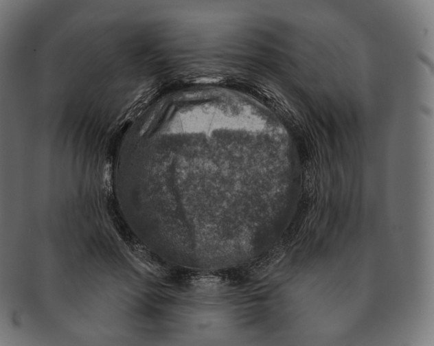 X0000091720598200709211002