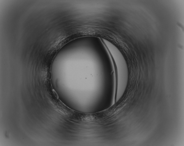 X0000091720600200709211002