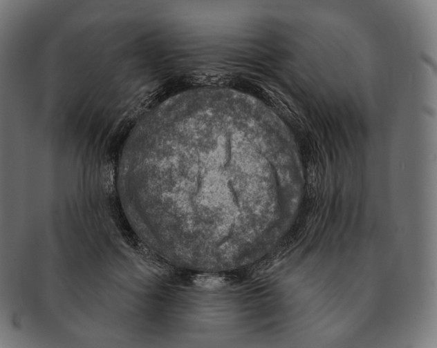 X0000091720602200709211002