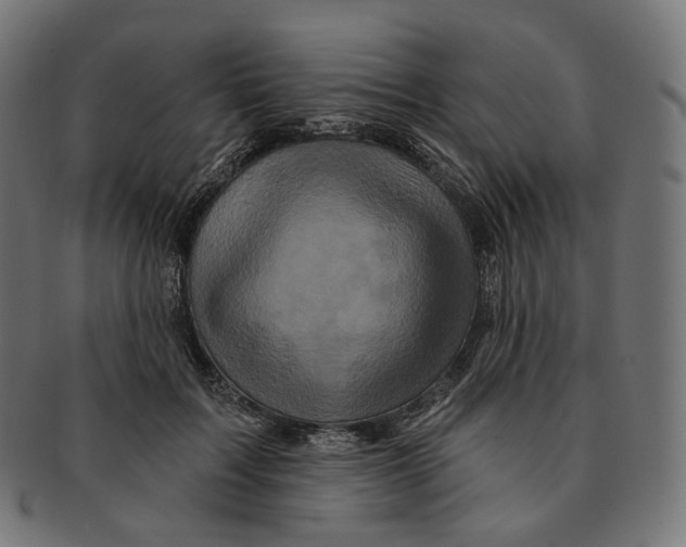 X0000091720603200709211002